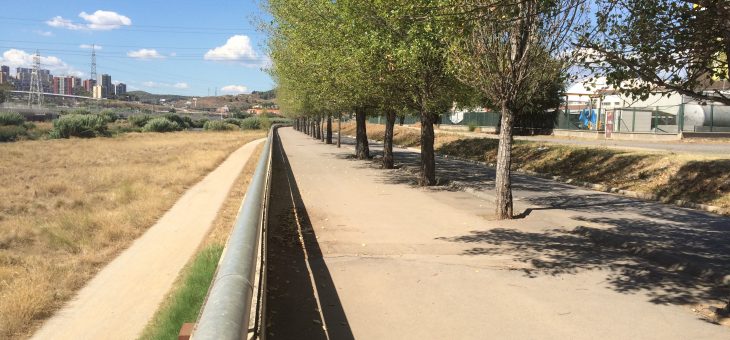 Treball de camp de les vores del riu.