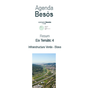 Resum eix temàtic 4:Infraestructuraverda-blava