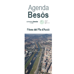 Fitxes del pla d’acció